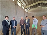 خرید تضمینی گندم